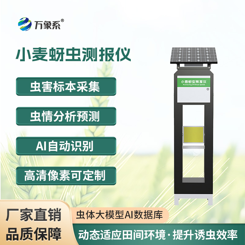 小麥蚜蟲測報儀，保障小麥健康成長的利器之一